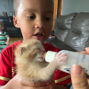 Meet your Posher, Sierra